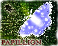 Обложка альбома PAPILLION